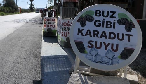 P1020728-crop